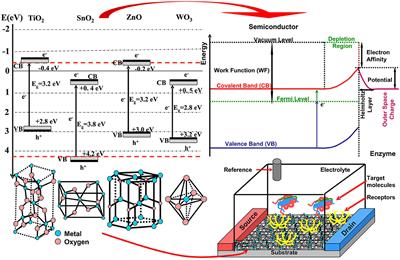 Metal Oxides-Based Semiconductors for Biosensors Applications